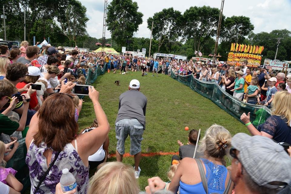 Dachshund Dash
